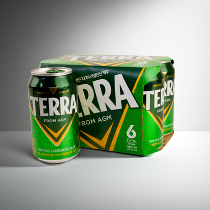 Six Pack Cerveza Terra