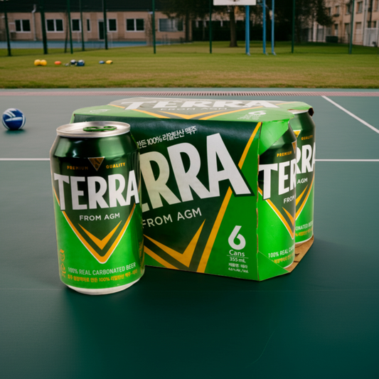 Six Pack Cerveza Terra